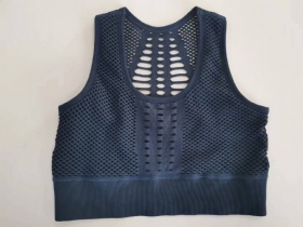 Mesh sports bra