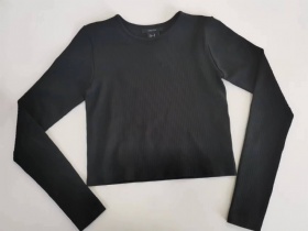 Seamless long-sleeved yoga suit